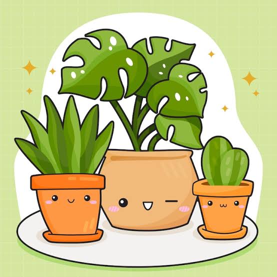Plantes